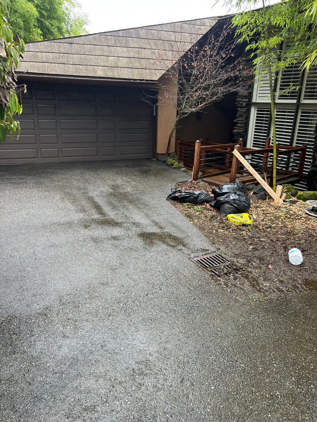 Driveway under bamboo after cleaning
