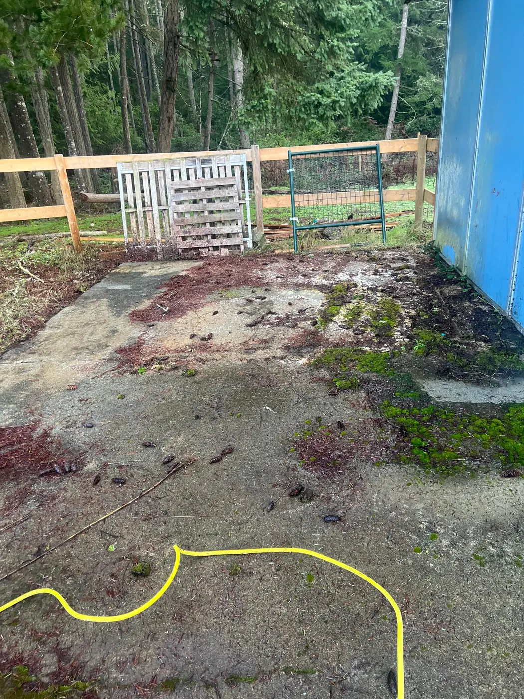 Concrete pad before cleaning