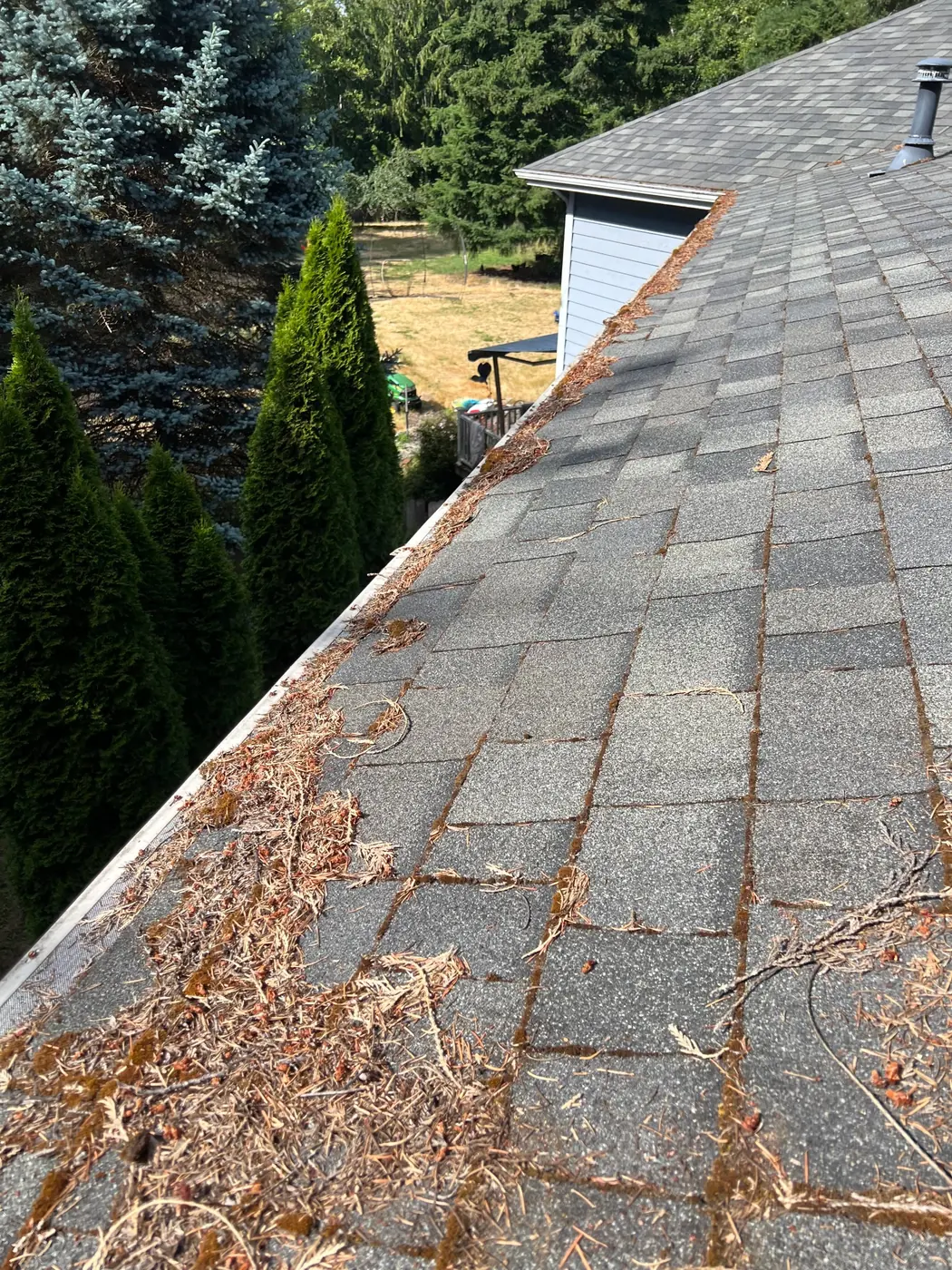 Gutter cleaning